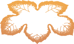 Marc Lemoine